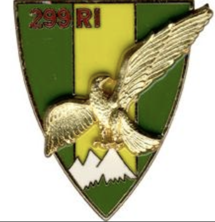 David hornus Danger Zone the book - Insigne n299 Regiment Infanterie